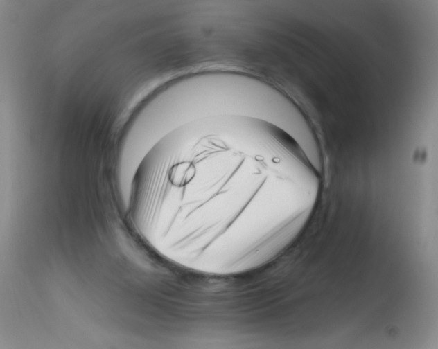 X0000113220060200910221133