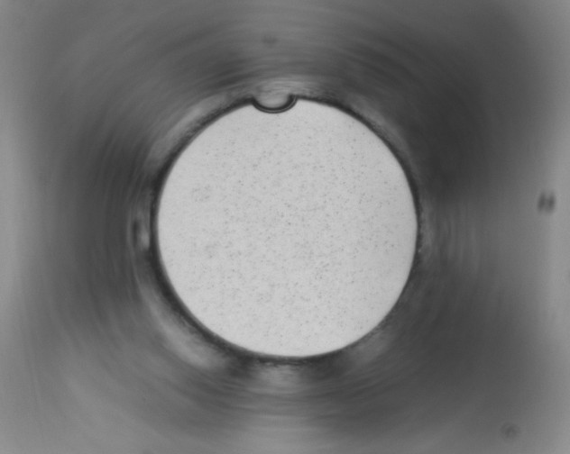 X0000113220062200910221133