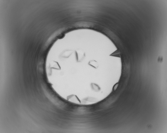 X0000113220064200910221134