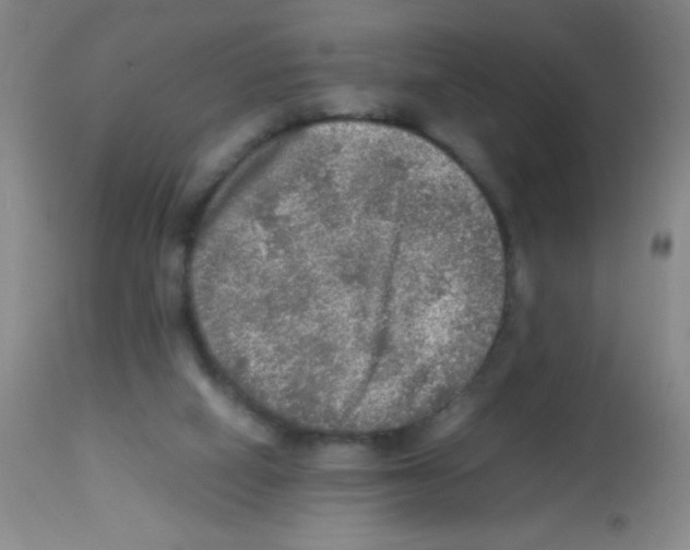 X0000113220066200910221134