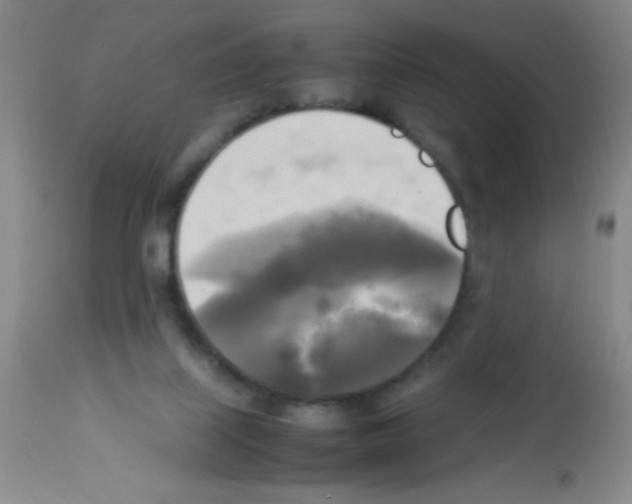 X0000113220067200910221134