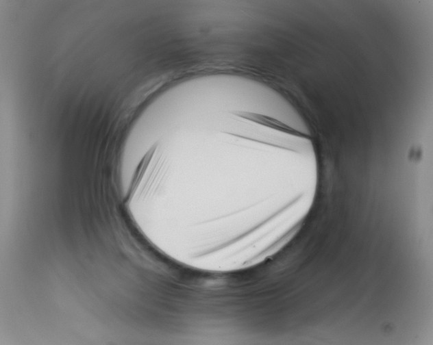 X0000113220068200910221134