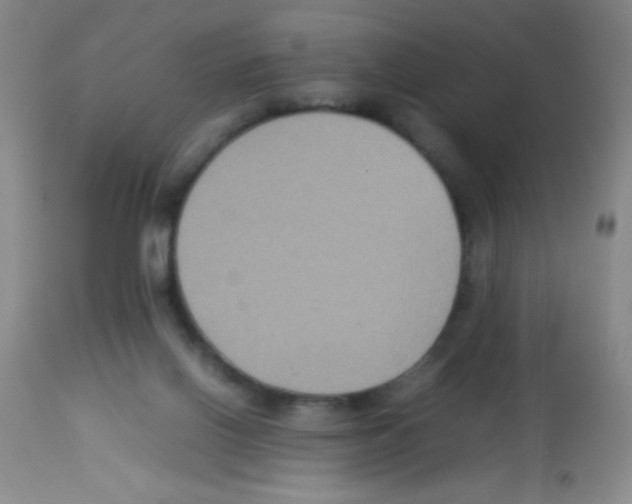 X0000113220070200910221134