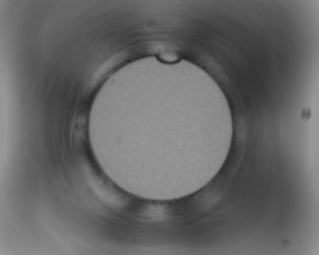 X0000113220071200910221134