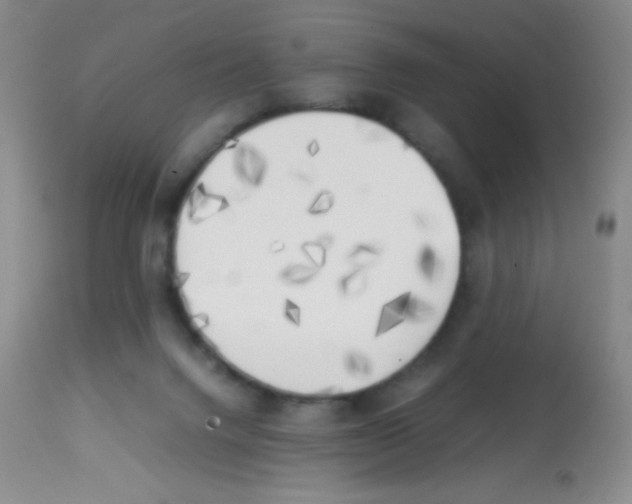 X0000113220072200910221134