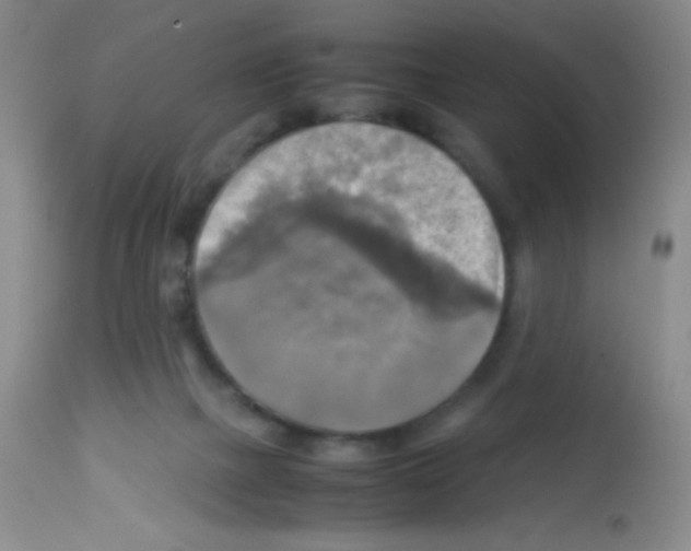 X0000113220073200910221134