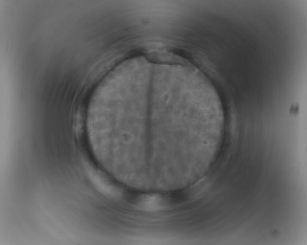 X0000113220074200910221134