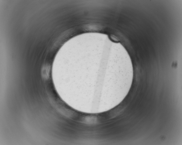 X0000113220075200910221134