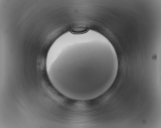 X0000113220076200910221134