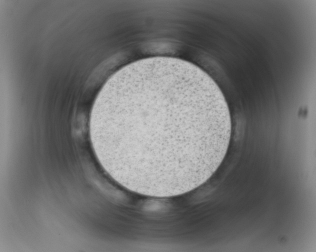 X0000113220077200910221134