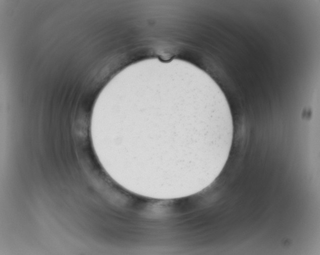 X0000113220078200910221134