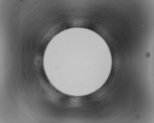X0000113220079200910221134