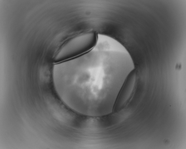 X0000113220080200910221134