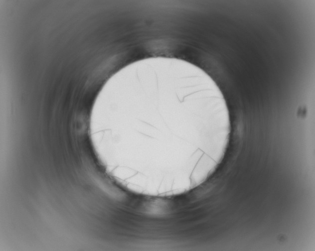X0000113220081200910221134