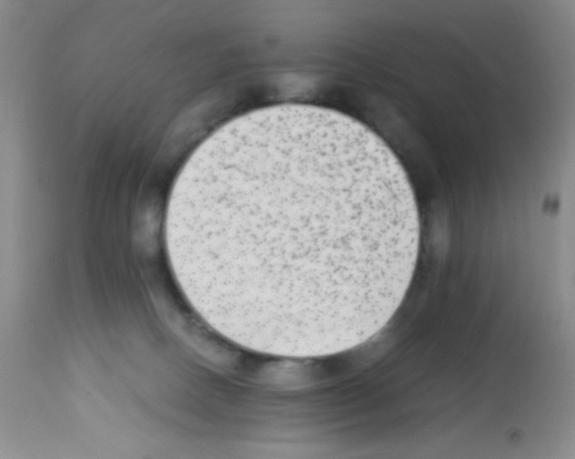X0000113220082200910221134