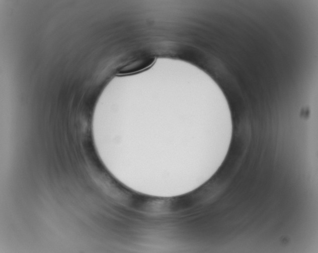 X0000113220084200910221134