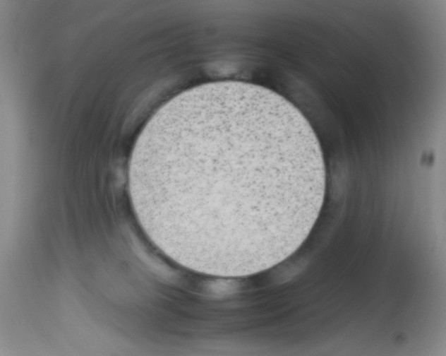 X0000113220085200910221134