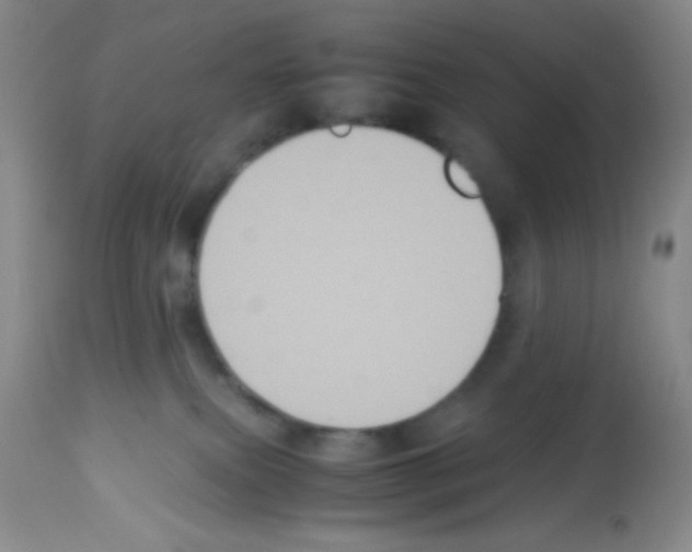 X0000113220087200910221134