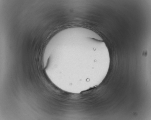 X0000113220088200910221134