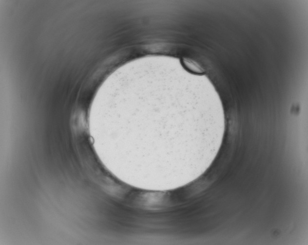 X0000113220089200910221134