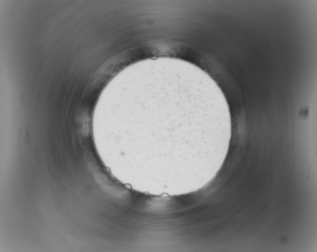 X0000113220090200910221134