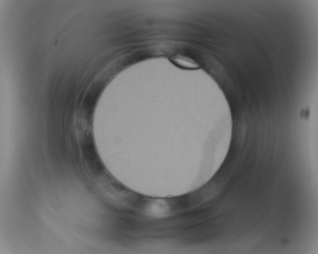 X0000113220091200910221134