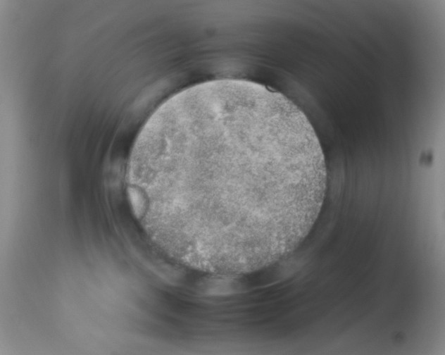 X0000113220093200910221134