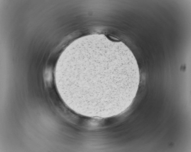 X0000113220094200910221134