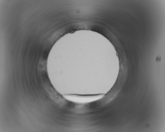 X0000113220096200910221134