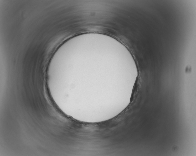 X0000113220097200910221133