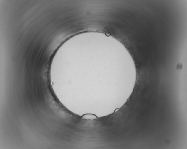 X0000113220098200910221133