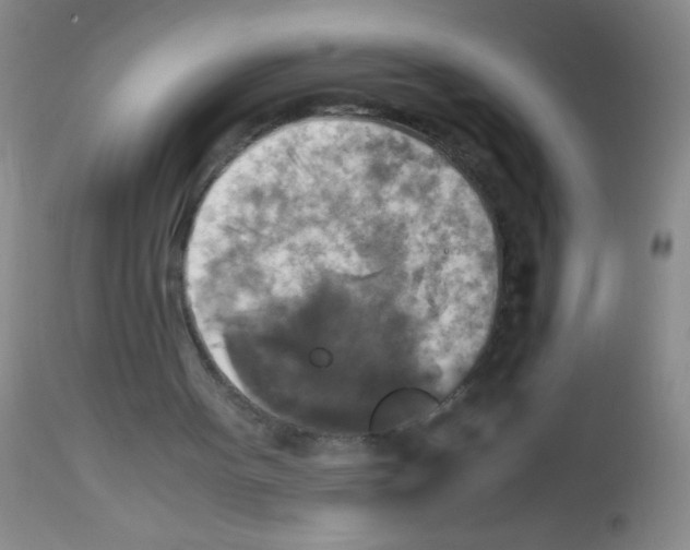 X0000113220099200910221133