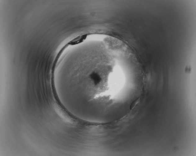 X0000113220100200910221133