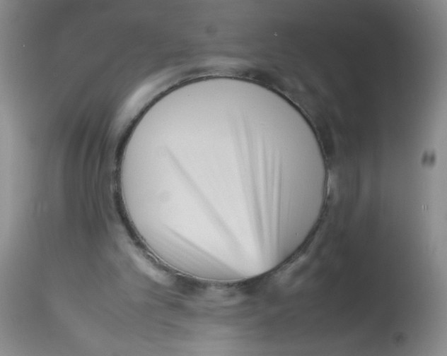 X0000113220101200910221133