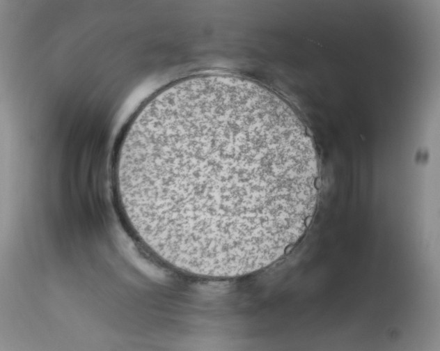 X0000113220102200910221133