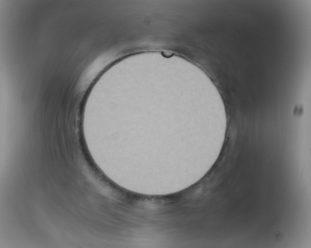 X0000113220103200910221133