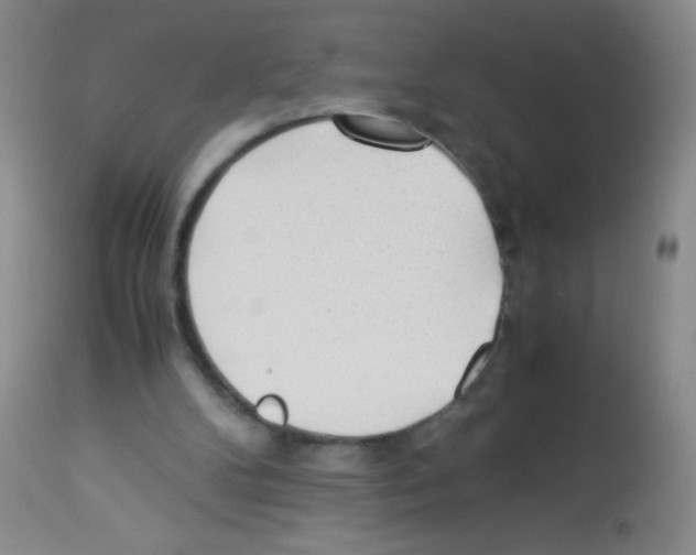 X0000113220104200910221133