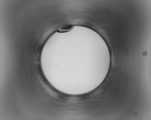 X0000113220105200910221133