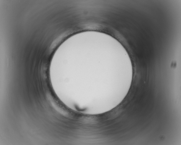 X0000113220106200910221133