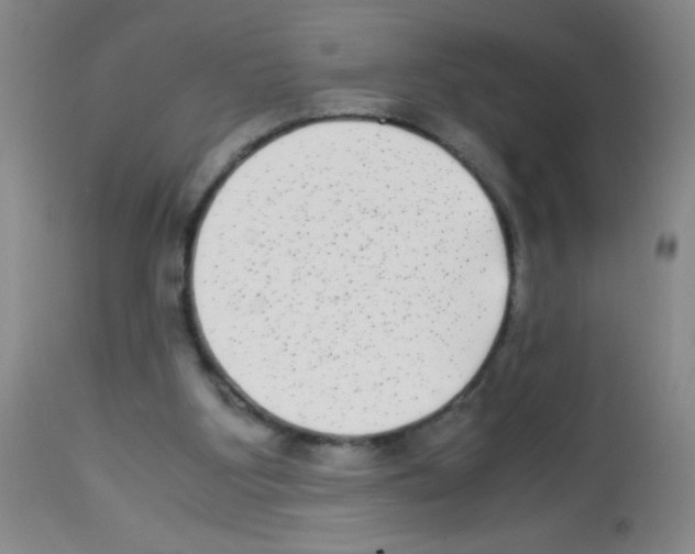 X0000113220107200910221133