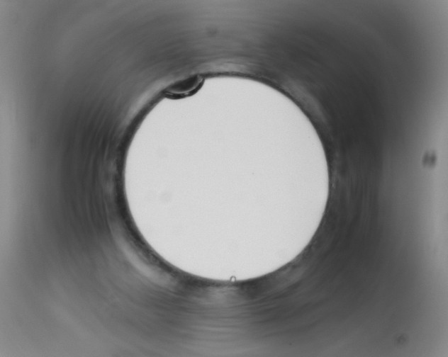 X0000113220108200910221133