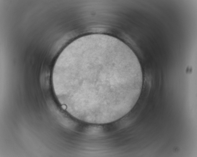 X0000113220110200910221133