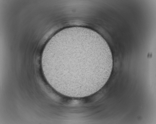 X0000113220111200910221133