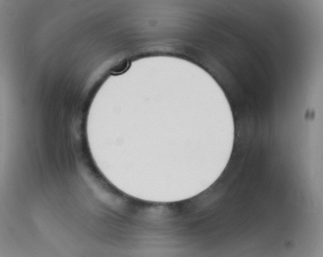 X0000113220112200910221133