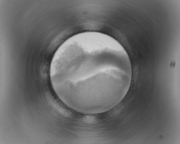 X0000113220114200910221133