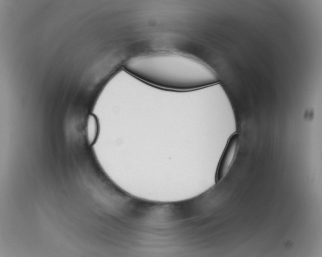 X0000113220116200910221133
