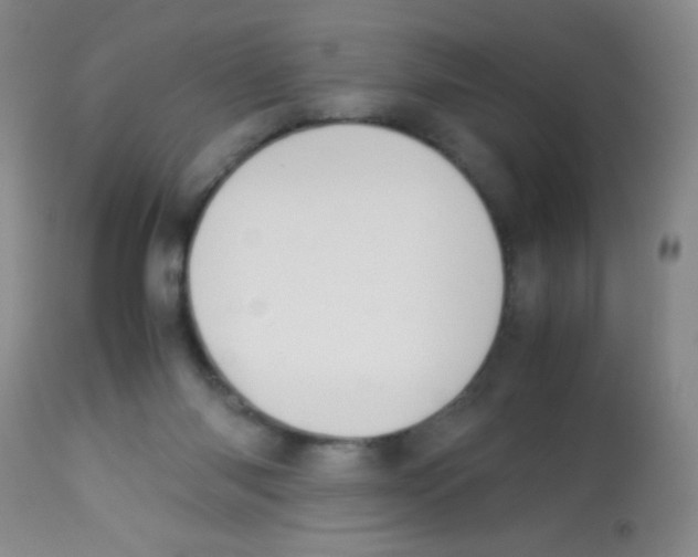 X0000113220118200910221133