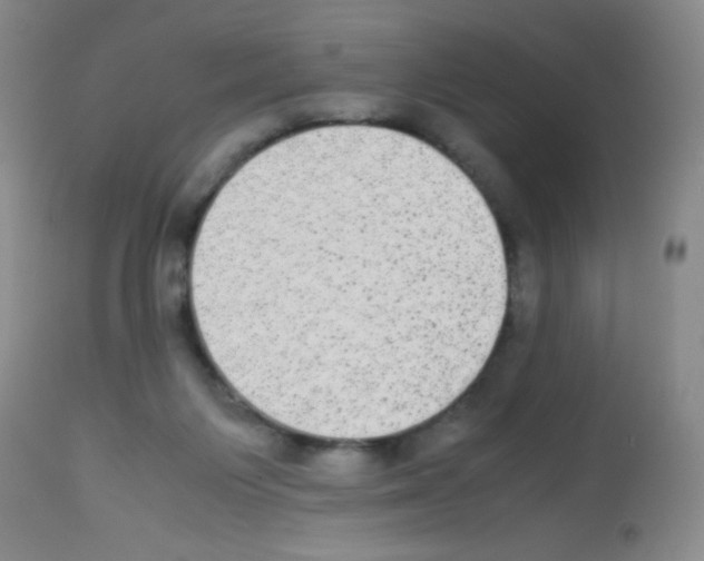 X0000113220119200910221133