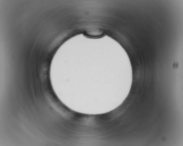 X0000113220120200910221133