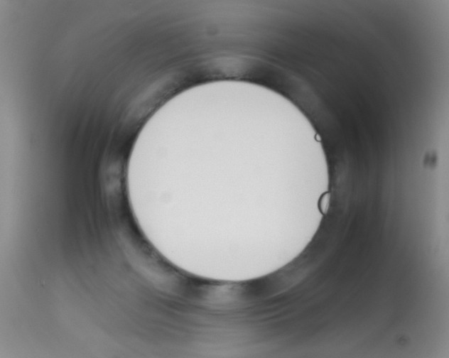 X0000113220122200910221133